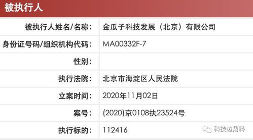 瓜子二手车成为被执行人 执行标的逾11万元与计算机软硬件开发关联探析